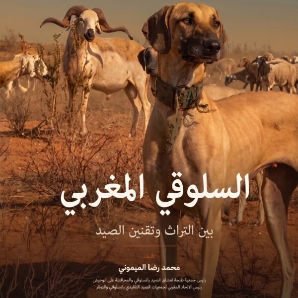 "السلوقي المغربي "بين التراث و تقنين الصيد